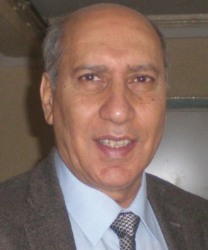 أبو بكر العيادي